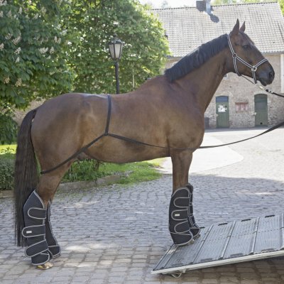Waldhausen Nastupovací postroj černý – Hledejceny.cz