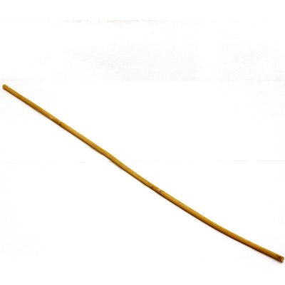 Rákoska rovná neošetřená – Sleviste.cz