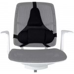 Profesional Fellowes – Sleviste.cz