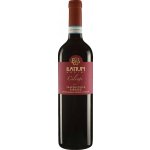 Ilatium Morini Campo dei Ciliegi Valpolicella Ripasso Superiore 2020 Červené 14,5% 0,75 l (holá láhev) – Hledejceny.cz
