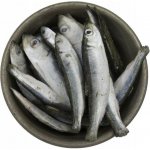 Krmimmasem.cz Sleď celý malý nekuchaný 1 kg – Sleviste.cz