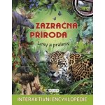 Zázračná příroda - Lesy a pralesy - neuveden – Zboží Mobilmania