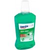 Dentamax Soft mint ústní voda 600 ml