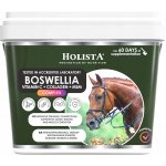 HolistaEquine Boswellia Serrata 1 kg – Hledejceny.cz