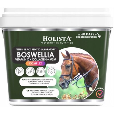 HolistaEquine Boswellia Serrata 1 kg – Hledejceny.cz