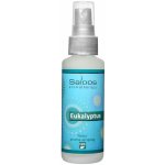 Saloos Natur aroma airspray Eukalyptus (přírodní osvěžovač vzduchu) 50 ml – Zboží Mobilmania