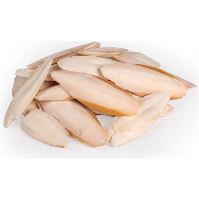 Tommi Kost Sépiová 1 kg – Zboží Dáma