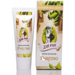 Čaga krém-balzám na jizvy hojící 75 ml – Zboží Dáma