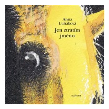 Jen ztratím jméno - Anna Luňáková