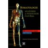 Somatologie Anatomie a fyziol. Člověka