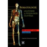 Somatologie Anatomie a fyziol. Člověka