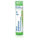 KALIUM PHOSPHORICUM POR 5CH GRA 4G – Hledejceny.cz