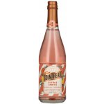 Cointreau Citrus Spritz Grapefruit & Tangerine 10,5% 0,75 l (holá láhev) – Sleviste.cz