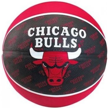 Spalding team basketball Chicago Bulls