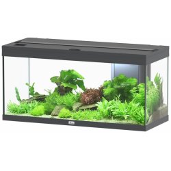 Aquatlantis Volga 180 antracit 103,5 x 42,7 x 51,1 cm