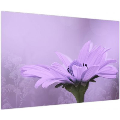 Obraz - Fialová květina, jednodílný 90x60 cm – Hledejceny.cz