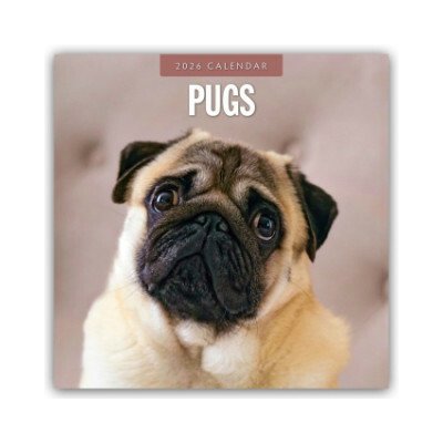 Pugs Mops 16-Monats 2026 – Zboží Dáma