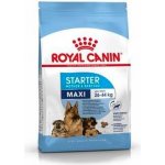 Royal Canin Maxi Starter Medium Breed 4 kg – Zboží Mobilmania