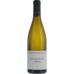 Domaine Changarnier Bourgogne Blanc Les Dressoles 2022 Bílé 12,5% 0,75 l (holá láhev) – Hledejceny.cz