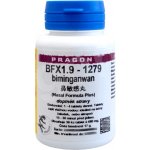 BFX1.9 biminganwan 36 tablet Pragon – Hledejceny.cz