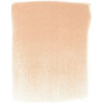 PanPastel suchý pastel 380.8 red iron oxide tint – Hledejceny.cz