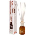 Greli Vonné tyčinky Jest Fragrances difuzér 100 ml – Hledejceny.cz