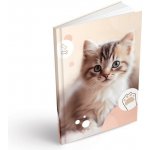 MFP paper záznamová kniha A5 100 listů linka ZL5104 – Zboží Dáma