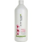 Matrix Biolage Colorlast Conditioner 1000 ml – Zbozi.Blesk.cz