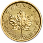 Royal Canadian Mint Maple Leaf zlatá mince 1/10 oz – Sleviste.cz