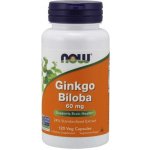 Now Foods Ginkgo Biloba 60 mg 120 kapslí – Hledejceny.cz
