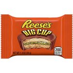 Reese's Peanut Butter Cups 39 g – Sleviste.cz