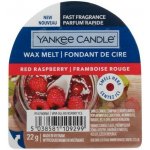 Yankee Candle vosk do aroma lampy Red Raspberry 22 g – Hledejceny.cz