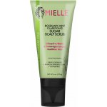 Mielle Rosemary Mint čisticí peeling pro pokožku hlavy 170 g – Hledejceny.cz