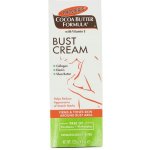 Palmer's Pregnancy zpevňující krém na poprsí pro ženy po porodu Cocoa Butter Formula (Firms & Tones Skin) 125 g – Zboží Dáma