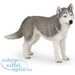 Papo Husky sibiřský – Sleviste.cz