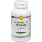 Epigemic Boswellia Serrata Epigemic 90 kapslí – Hledejceny.cz