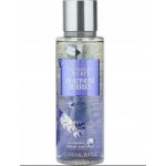 Victoria's Secret Platinum Berries tělový sprej 250 ml – Zboží Dáma