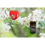 4betterlife tinktura Crateum 20 ml – Hledejceny.cz