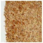 Epona Drcené hnědé proso 1,5 kg – Zboží Mobilmania