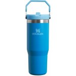 Stanley Tumbler se slámkou brčkem Iris 890 ml – Hledejceny.cz