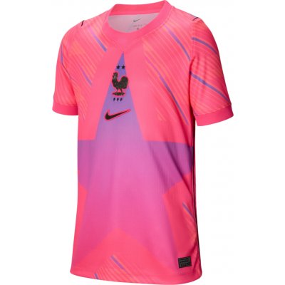 Nike Dri-FIT France Stadium Goalkeeper 2026 Kids ib5134-645 – Zboží Dáma