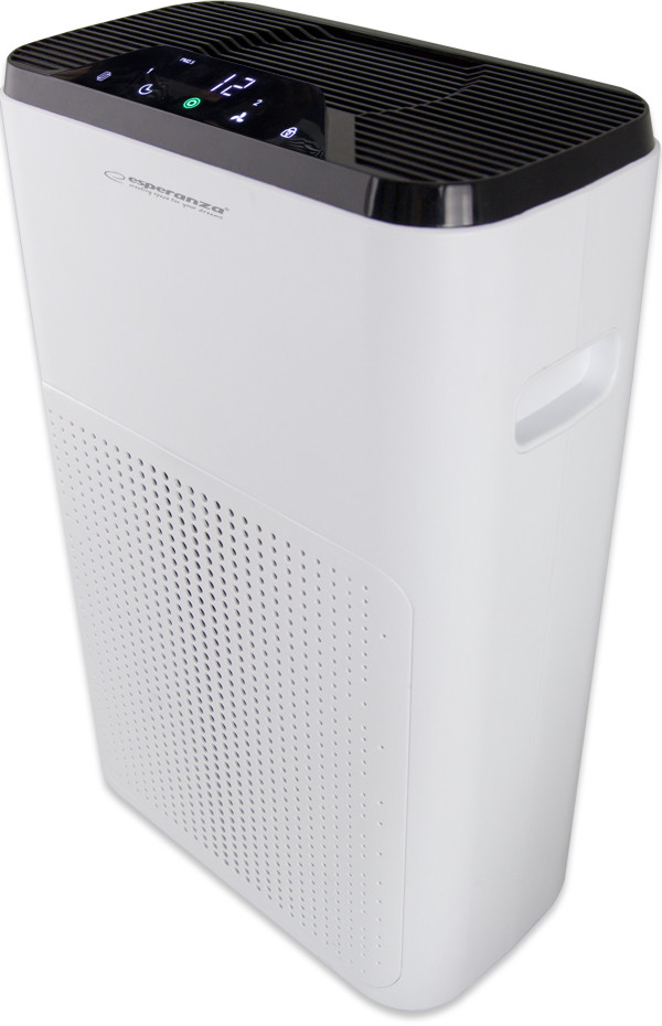 MISTRAL 72893