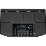 Korg MPS-10 – Zboží Dáma