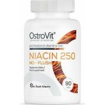 OstroVit Niacin 250 No flush vitamin B3 90 tablet – Hledejceny.cz