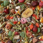 Avicentra Special Morče 1 kg – HobbyKompas.cz