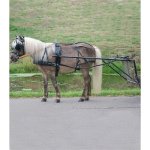 Waldhausen Postroj na koně Star černý – Zbozi.Blesk.cz