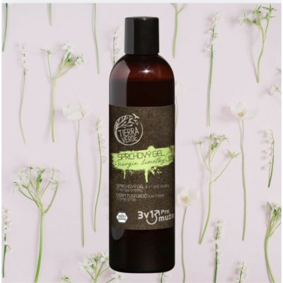 Tierra Verde Pánský sprchový gel na tělo, obličej a vlasy 3v1 300 ml – Zbozi.Blesk.cz
