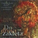 CM Technik Ostrava a Flair - Do dřeva zakletá 2 CD – Hledejceny.cz