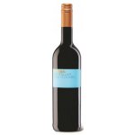Stefan Fritzen Blauer Spätburgunder Feinherb 12,5% 0,75 l (holá láhev) – Hledejceny.cz