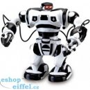 IQ Models RC robot ROBONE